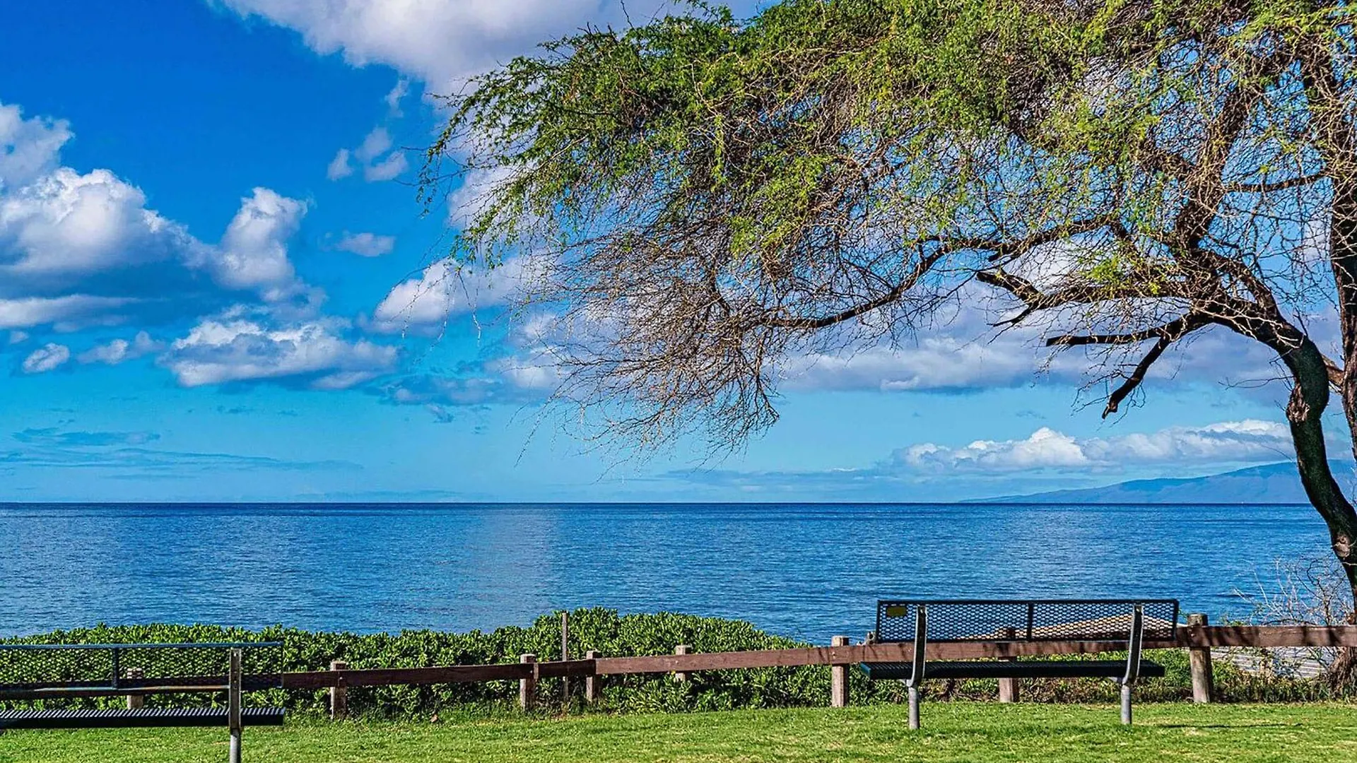 Experience Kamaole Sands 6-202, Stunning Renovation, Ocean View, Wi-Fi, Split Ac Wailea  0*, Wailea (Maui)