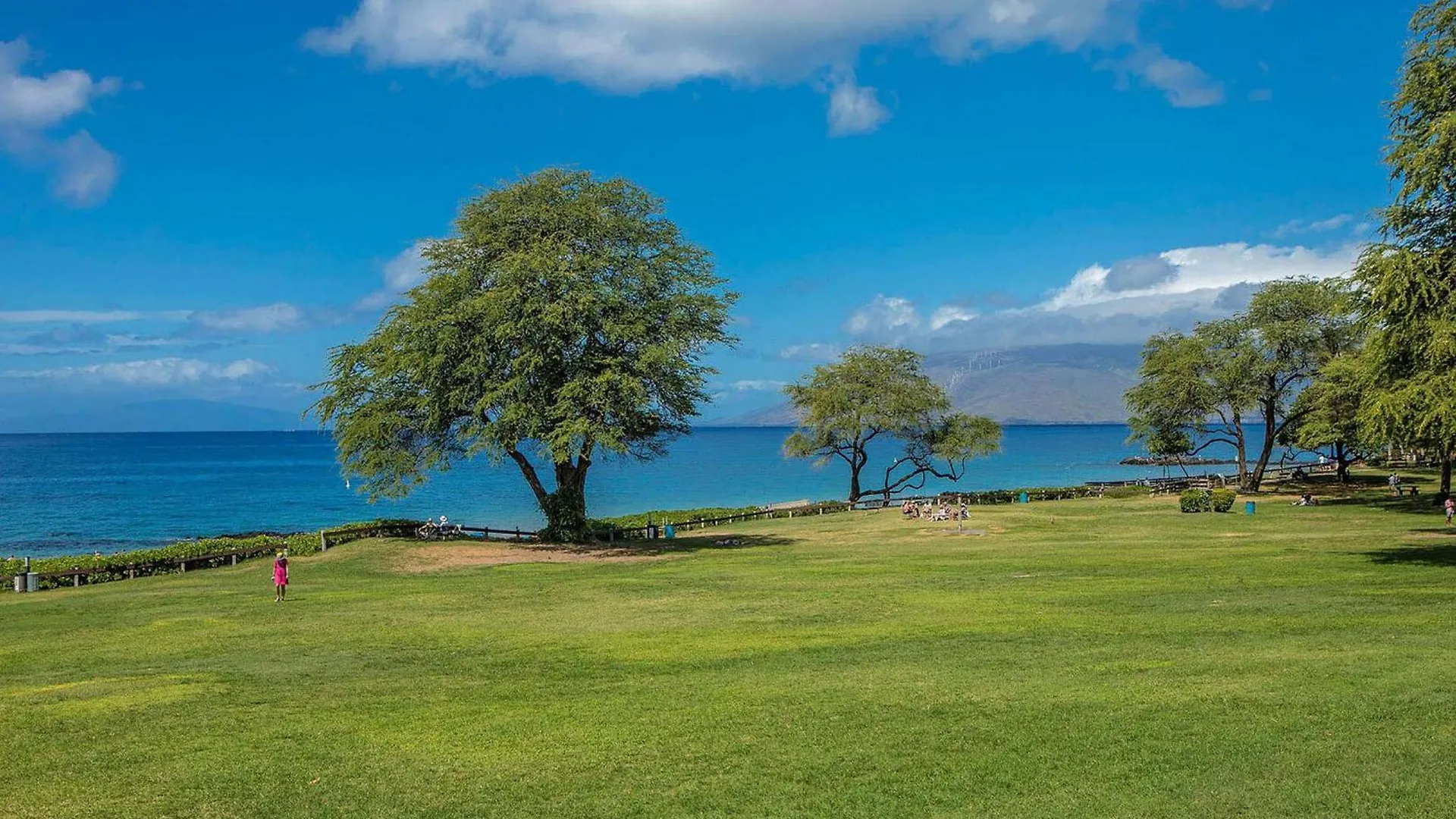 Experience Kamaole Sands 6-202, Stunning Renovation, Ocean View, Wi-Fi, Split Ac Wailea