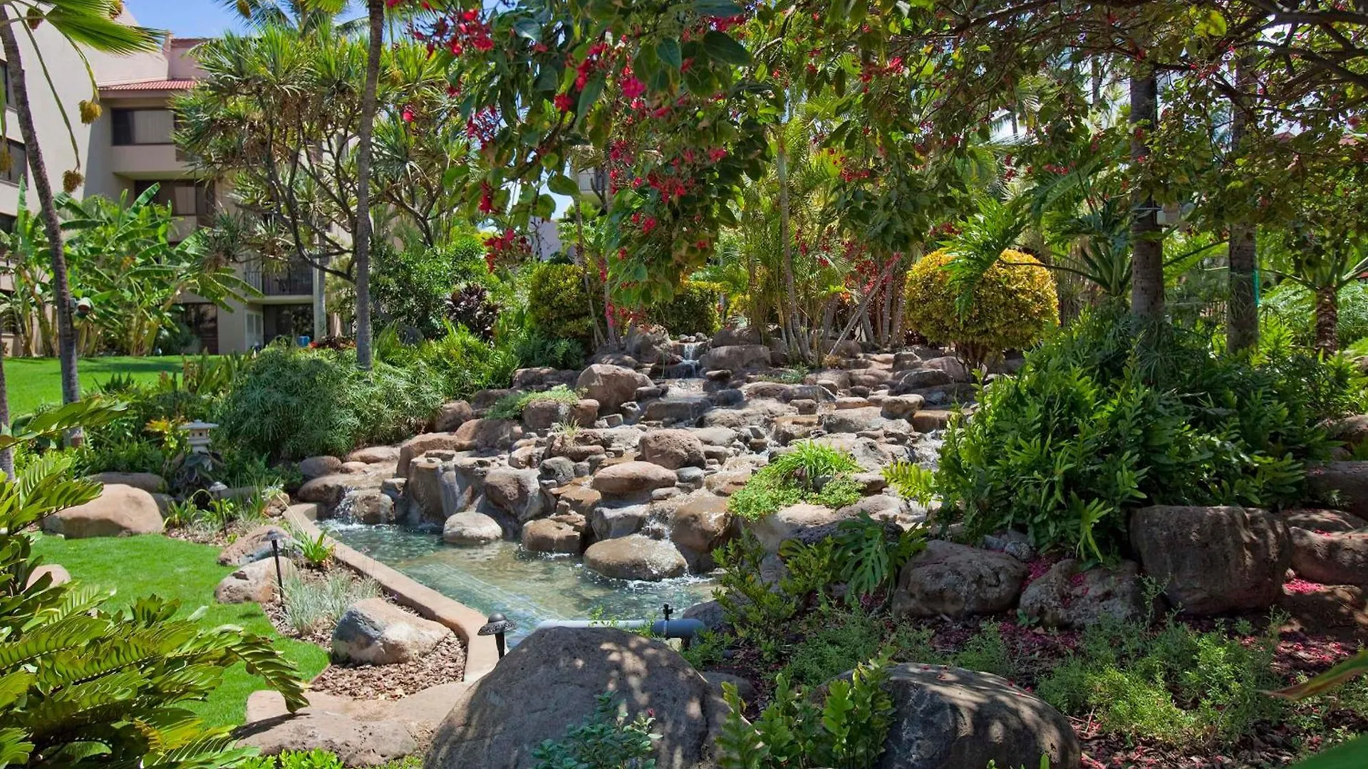 Сasa de vacaciones Experience Kamaole Sands 6-202, Stunning Renovation, Ocean View, Wi-Fi, Split Ac Wailea